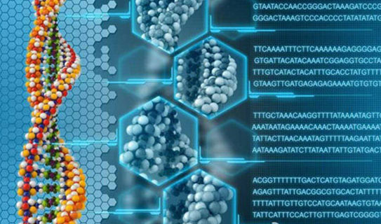 2.精准诊断——破解生命健康的达摩克利斯之剑