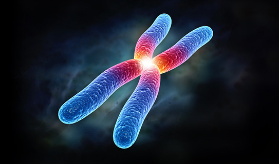 3.精准分型——不只是测序，让癌症分型更精准