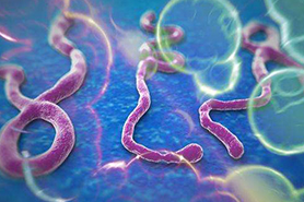 埃博拉病毒疫苗