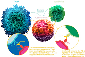 ​抗PD-1单克隆抗体
